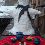 زمستان اکولوژ ساسنگ