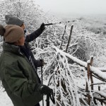 زمستان روستای ساسنگ