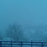 زمستان اکولوژ ساسنگ