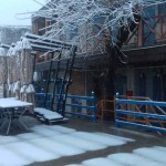 زمستان اکولوژ ساسنگ