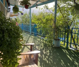 اتاق سرخدار اقامتگاه اکولوژ ساسنگ